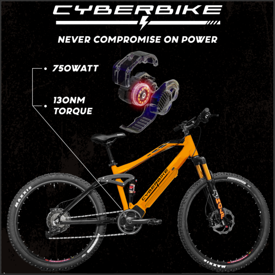 2024  Mullet Type R Mid-Drive Electric Mountain Bike